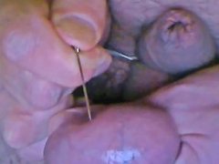 Safety Pin Through The Testicle